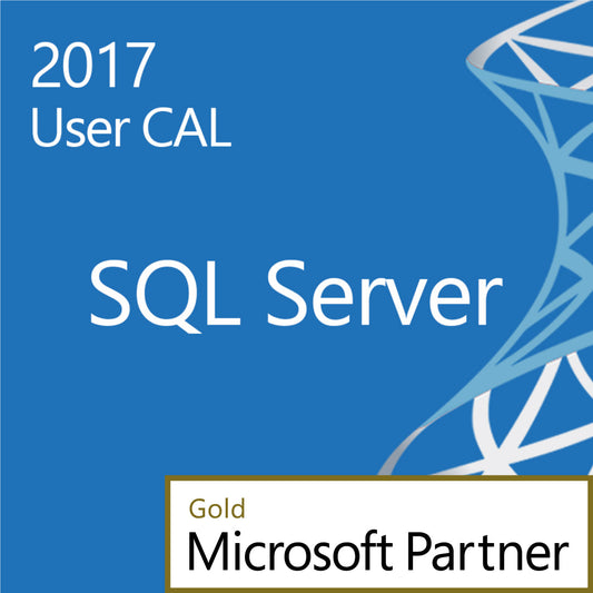 Blue product card for SQL Server 2017 10 User CALs showing 2017 User CAL text and Gold Microsoft Partner badge