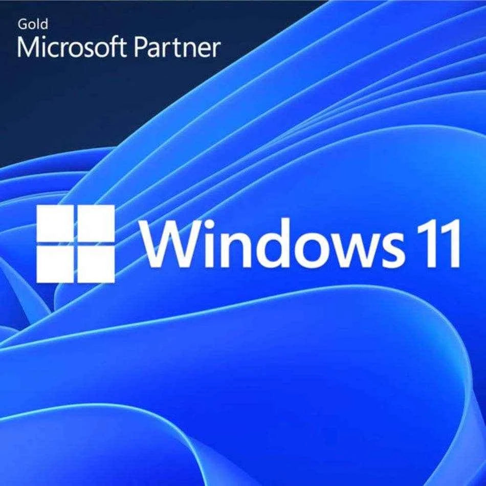 Windows 11 Enterprise LTSC 2024 logo with vibrant blue background representing Microsoft software
